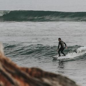 Meet your Posher, Wil